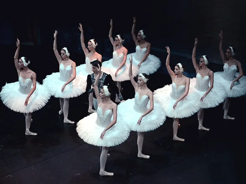 Imatge de l'espectacle