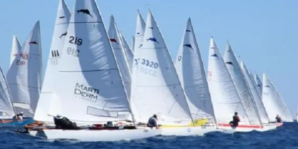 El Campionat d’Espanya de Patí de Vela a Altafulla arriba aquest divendres a les proves decisives
