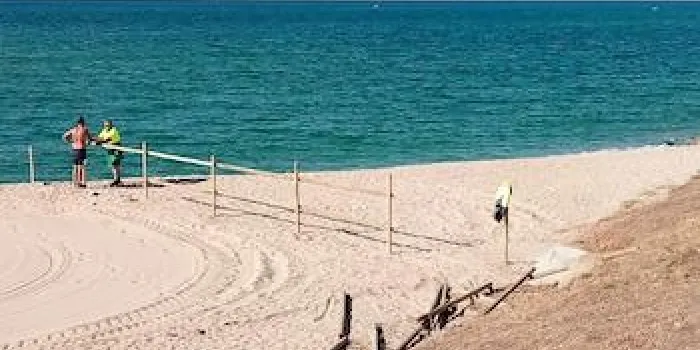 Ja es pot adquirir el distintiu per a gossos per fer ús de l'espai habilitat a la platja