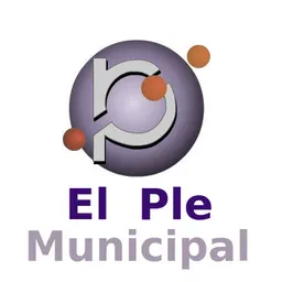 Transmissió en directe dels plens municipals del 5/3/2019 - episode art
