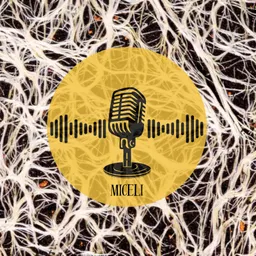 Miceli del 14/10/2026 - episode art