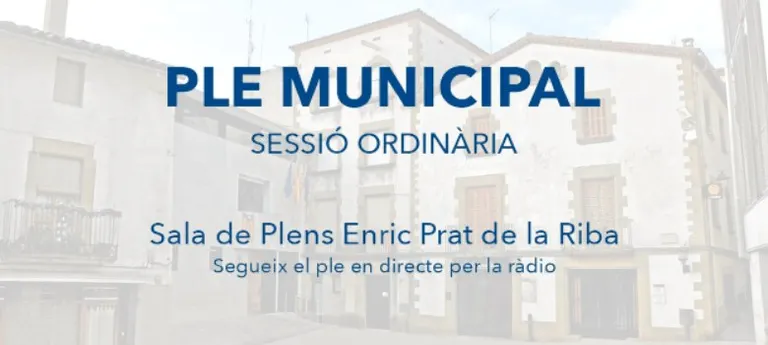 Ple Municipal – Sessió ordinària 25/03
