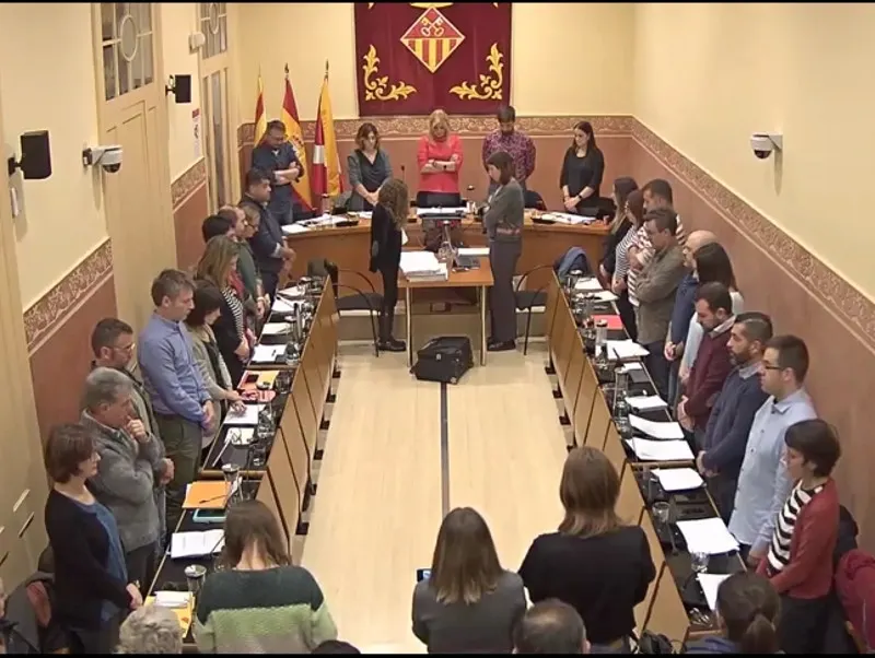 Ple ordinari de novembre 2019
