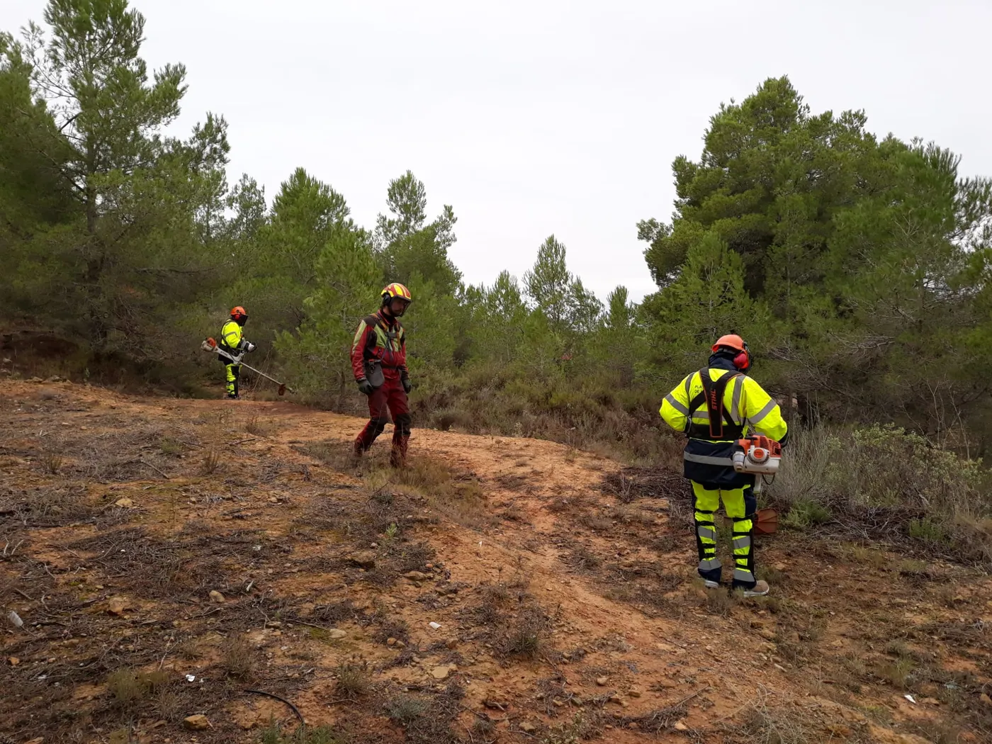 La Diputació de Tarragona impulsa nous plans d’ocupació que donaran feina a 50 persones