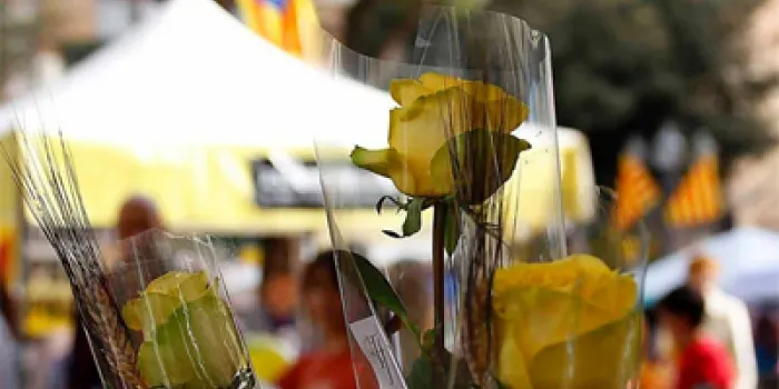 A Arenys de Mar també s’ha venut molt la rosa groga aquest Sant Jordi