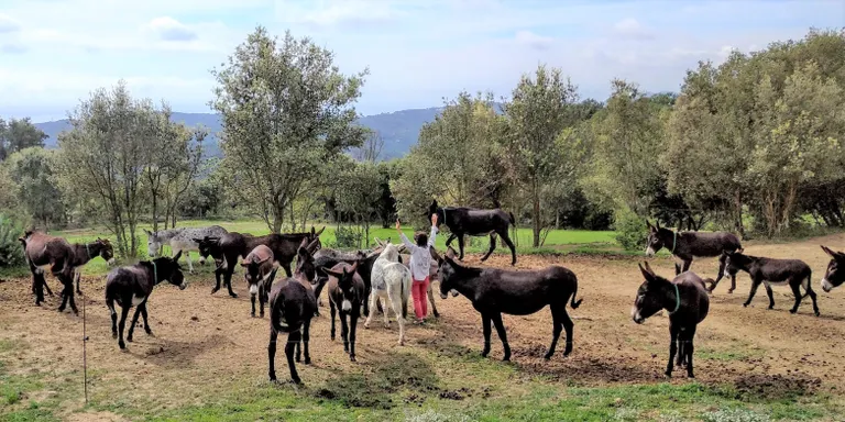 Rukimon, de Dosrius, fa una crida a apadrinar rucs per salvar la reserva del Corredor
