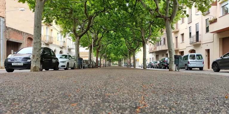 El Morell recupera la seva beca de recerca local centrant-la en la Rambla