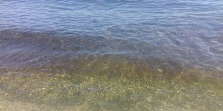 Prohibit el bany a la platja ubicada davant de l’Alibey des d’aquest dimecres a la tarda