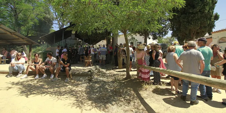 Blanes celebra diumenge la XXIX Romeria de la Casa de Andalucía al Santuari del Vilar