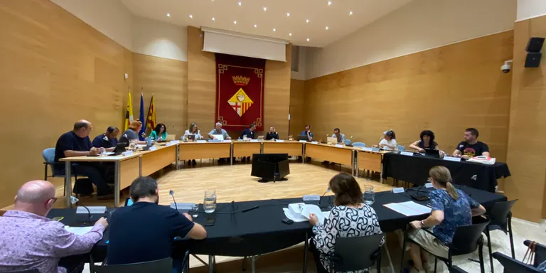 El ple municipal aprova els diumenges 10 i el 31 de desembre de 2023 com a dies festius addicionals amb obertura comercial autoritzada