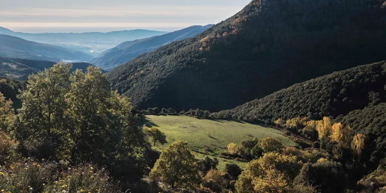 Comença el període per participar del Pla de Protecció del Parc Natural del Montseny