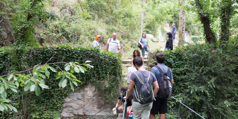 Finalitza a la Seu el gruix de cursos de la Universitat d'Estiu de la UdL