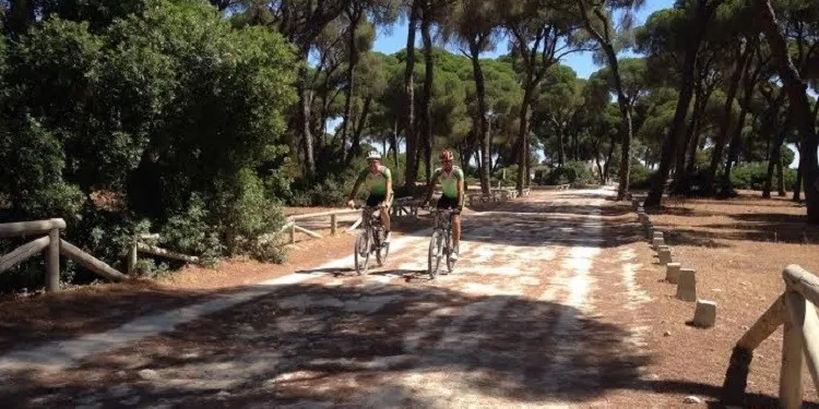 Los aficionados a la bicicleta de montaña retoman su actividad