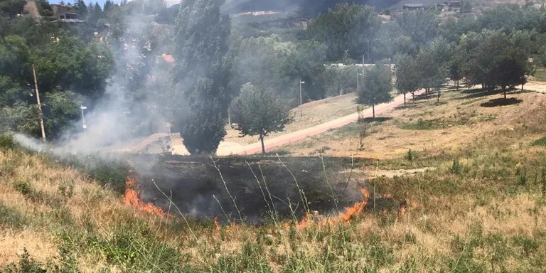 Incendi de vegetació al parc de l’Horta del Valira de la Seu