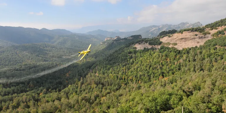 La campanya de tractaments aeris pel control de la processionària fumigarà 3.400 hectàrees al Solsonès