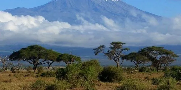 ‘Las nieves del Kilimanjaro’, primera proposta del Club de Lectura i Cinema el 7è Llibre d’Altafulla pel 2018