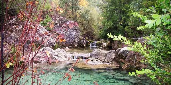 L'Hort de la Sínia proposa un bany de bosc a Tamarit per aturar-nos, respirar i desconnectar de l'estrès de la vida quotidiana