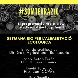 #7 - Som Terra amb Pili Garcia del 29/10/2019 - episode art