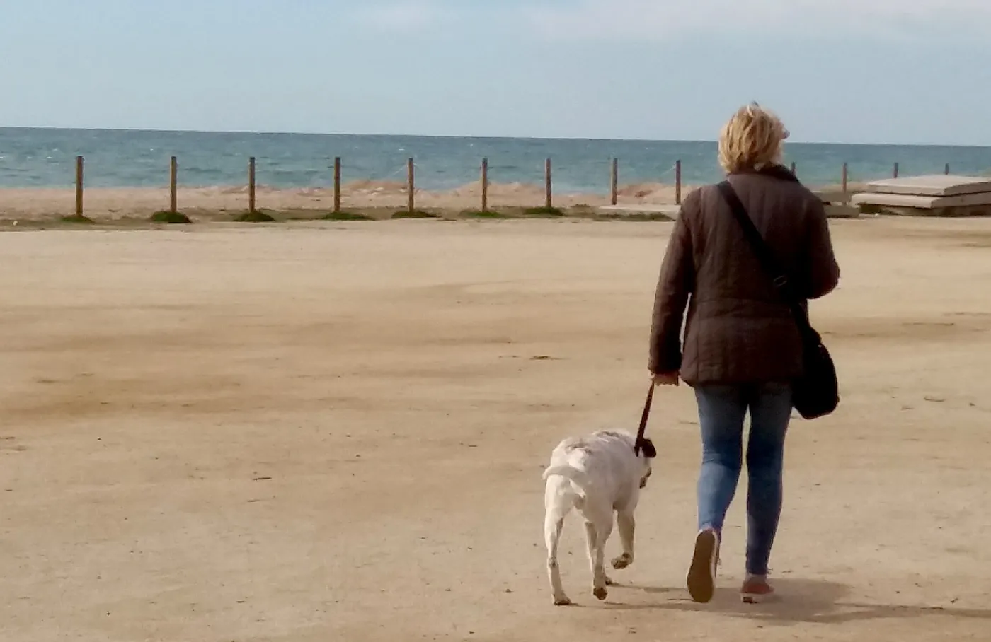 Pineda tindrà dos parcs 'agility' per a gossos i la platja per a mascotes tindrà servei tot l'any