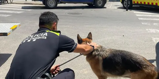 La Policia de Cambrils rescata un gos d’un pis on s’havia declarat un petit incendi sense víctimes