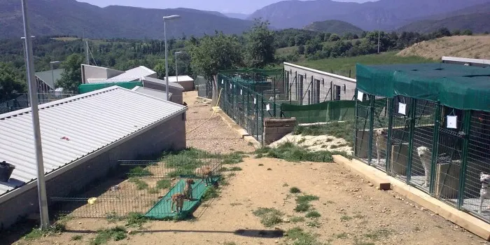 Continuen a molt bon ritme les adopcions de gossos del Refugi de Benavarre