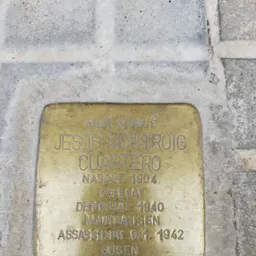 #216 - Visita 6/6 de RaD a les Stolpersteine: L'alliberament de Mauthausen - episode art