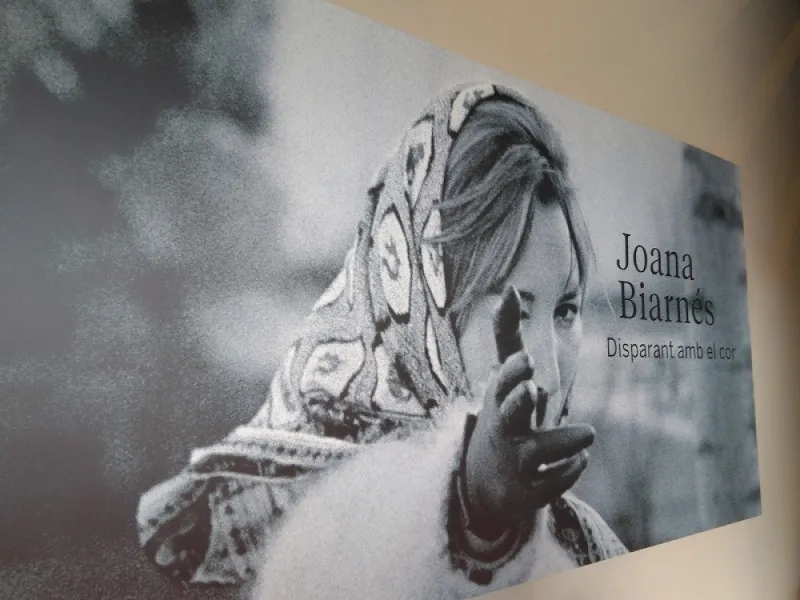 Cartell de la mostra de Joana Biarnès al Castell