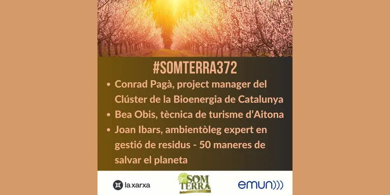 Som Terra 373