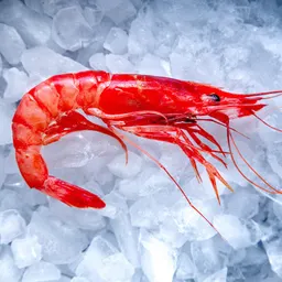 Esmicolant Productes amb la Cori Guiu - La gamba - episode art