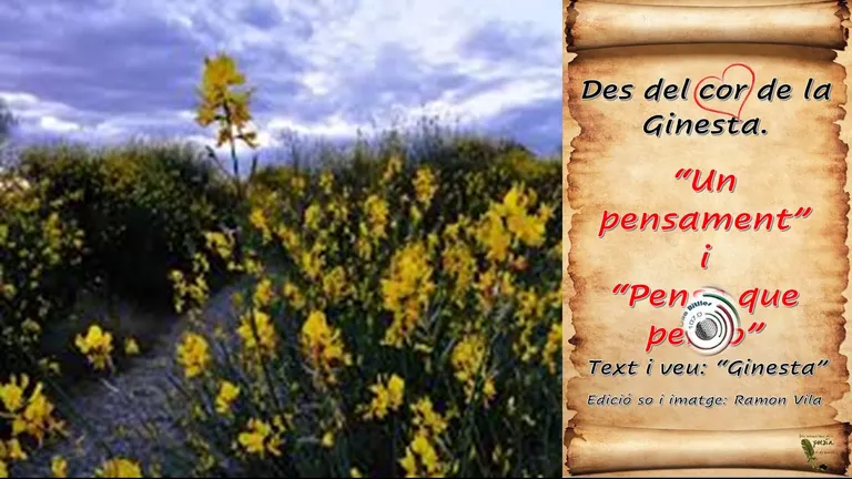 Des del cor de la “Ginesta”, avui ens estimula al art del bon pensar amb les seves poesies: Des del cor de la “Ginesta”, avui ens estimula al art del bon pensar amb les seves poesies: “Un pensament” i “Penso que penso”