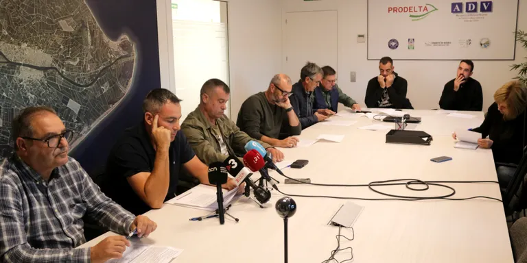 Els arrossaires exigeixen ajuts urgents davant uns preus desplomats un 38% en dos anys i l'amenaça al futur del sector