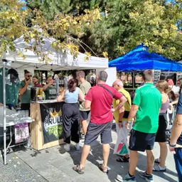 V Mostra Cervesa Artesana