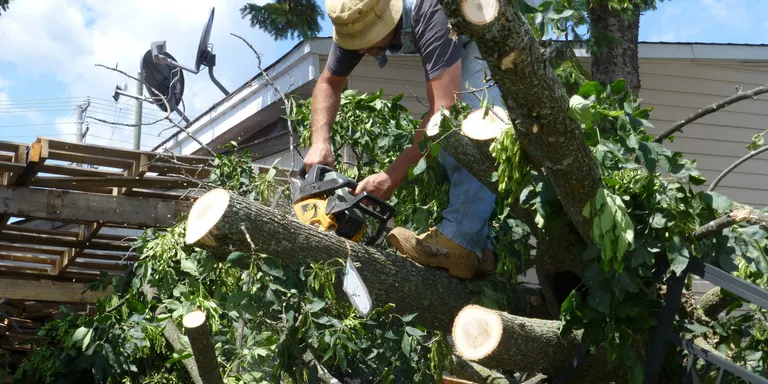 El CTFC programa una jornada de demostració pràctica de maquinària forestal lleugera