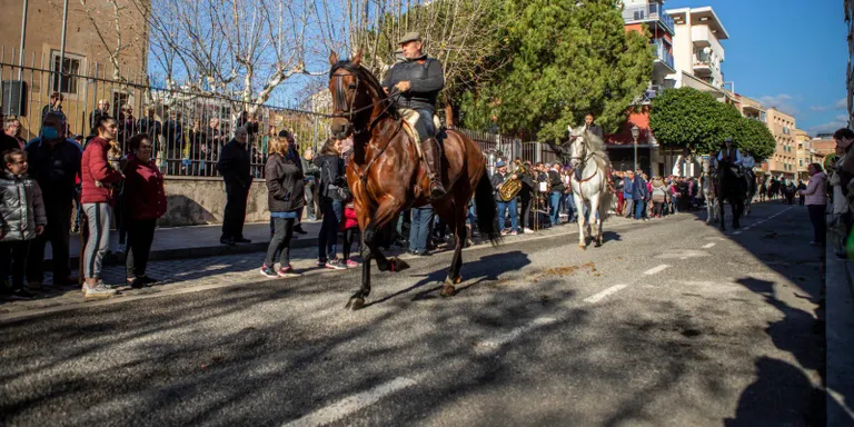 Cambrils celebra un any més amb èxit els tradicionals Tres Tombs de Sant Antoni