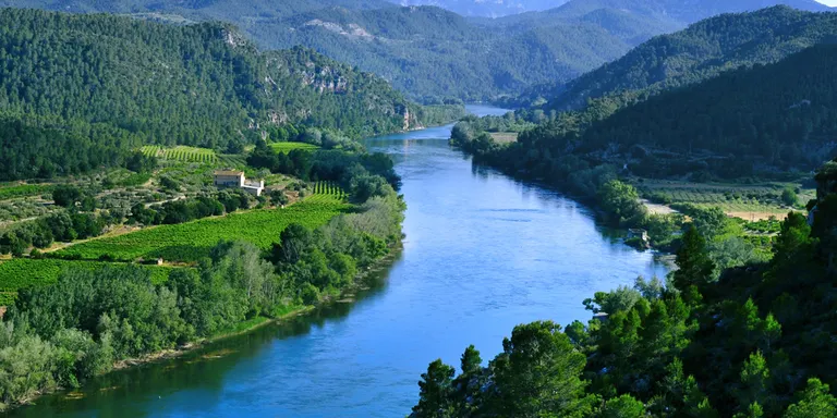 El CTFC lidera un consorci internacional per combatre les creixents amenaces del canvi climàtic al Mediterrani