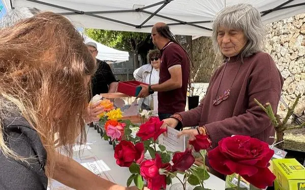 Foto: Altafulla Ràdio