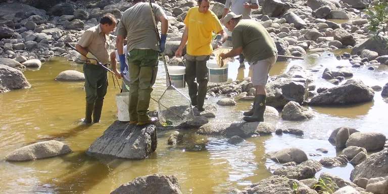 El Club de Caça i Pesca, preparat per a un possible rescat de truites al Segre