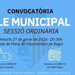 27 de gener: Ple municipal ordinari de l’Ajuntament de Begur - episode art