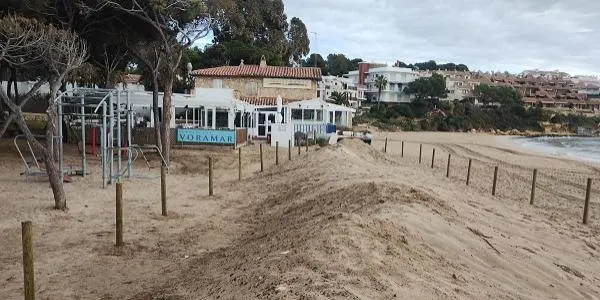 Aquest dijous es realitzarà la sembra de plantes autòctones a les dunes de Voramar
