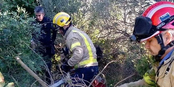 Rescatat un gos d’un clot d’una de les sínies de l’entorn de l’estació de trens d’Altafulla