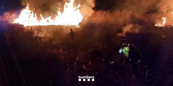 Un incendi crema prop d’una hectàrea dels Muntanyans de Torredembarra, sense afectacions personals ni residencials