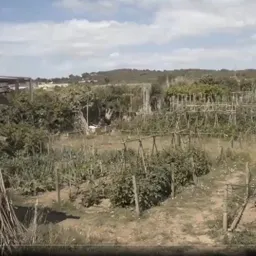 Georgina Florejachs Taller d'Horts Ecològics - episode art