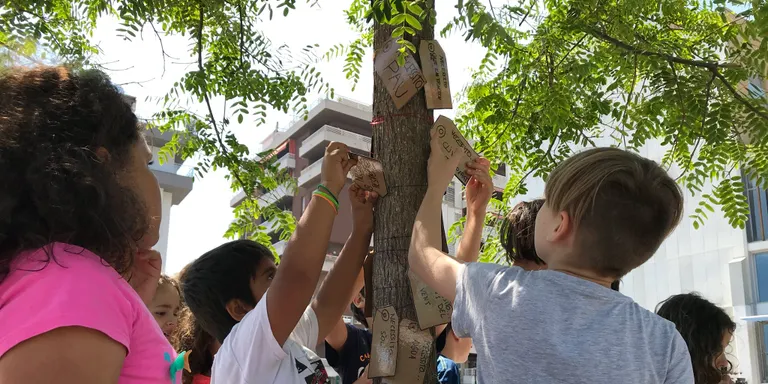 Els centres educatius han portat a terme aquest curs el projecte col·laboratiu “Els nostres arbres”