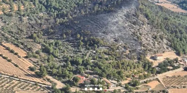 Els Agents Rurals anticipen un estiu complicat si no canvia el temps i no plou aquesta primavera