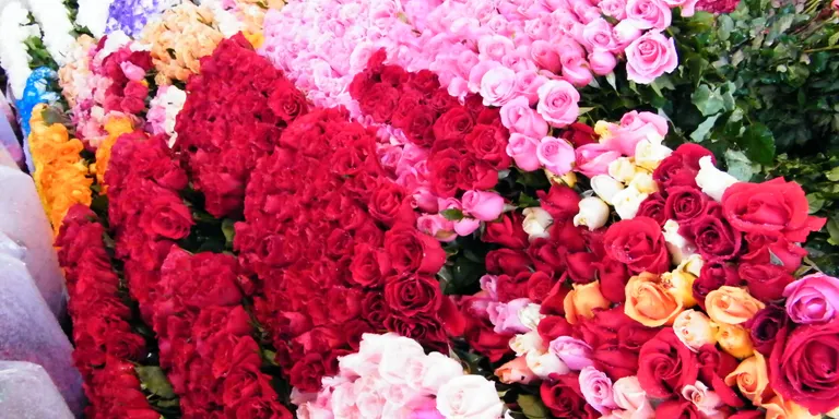 Oberta la preinscripció per al curs de formació ocupacional d’auxiliar de floristeria