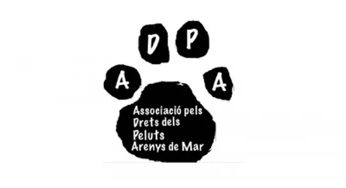Neix ADPA, l’Associació pels Drets dels Peluts d’Arenys de Mar