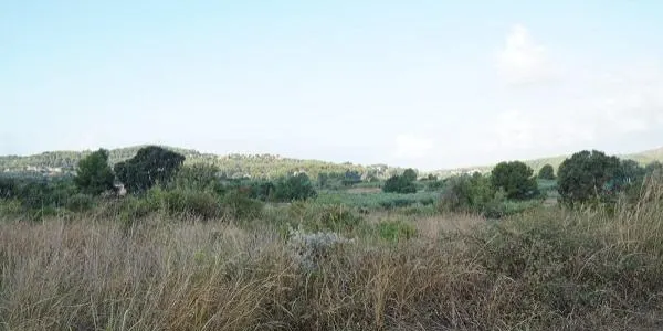 Aquest dilluns s'inicia la gran final de les votacions per triar el nom de tres carrers de l'àmbit de Safranars d'Altafulla