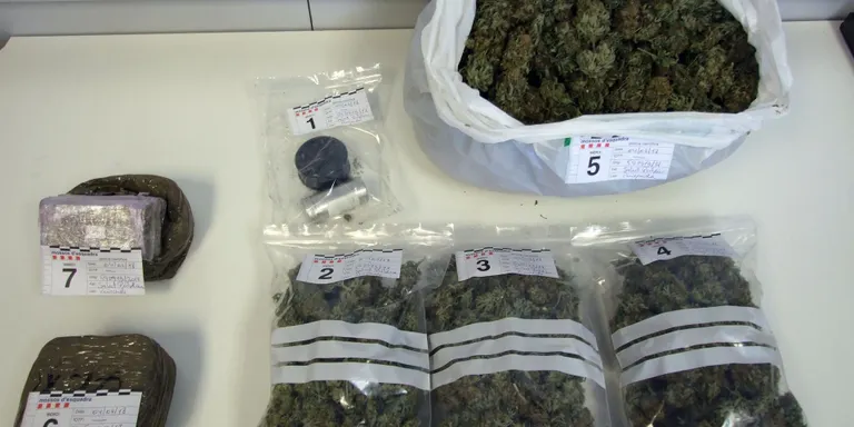 Dos detinguts a Puigcerdà per tràfic de droga