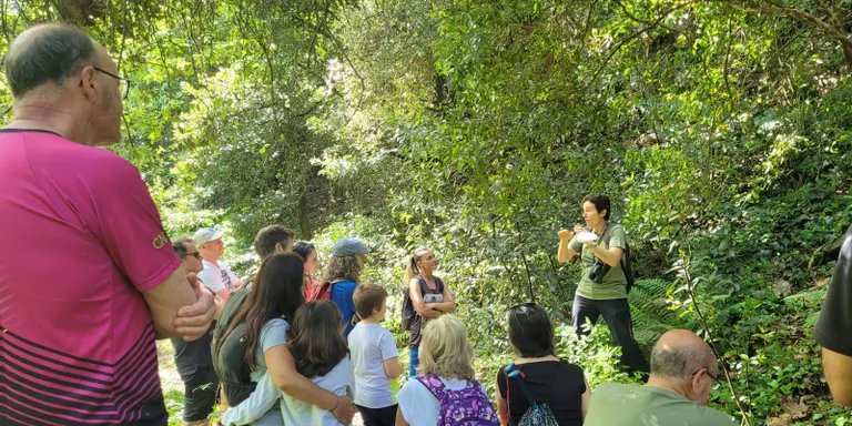 La biòloga Carme Buxalleu ha fet una ruta guiada per conèixer la vegetació dels boscos de ribera
