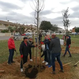 #425 - Festa de l'Arbre 2023 a la Marítima Nord - episode art